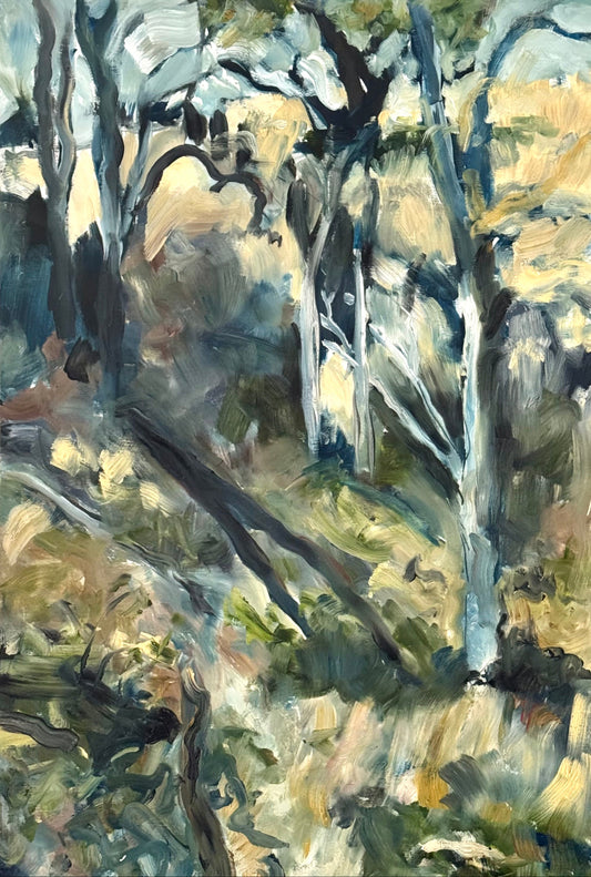 Afternoon Shadows